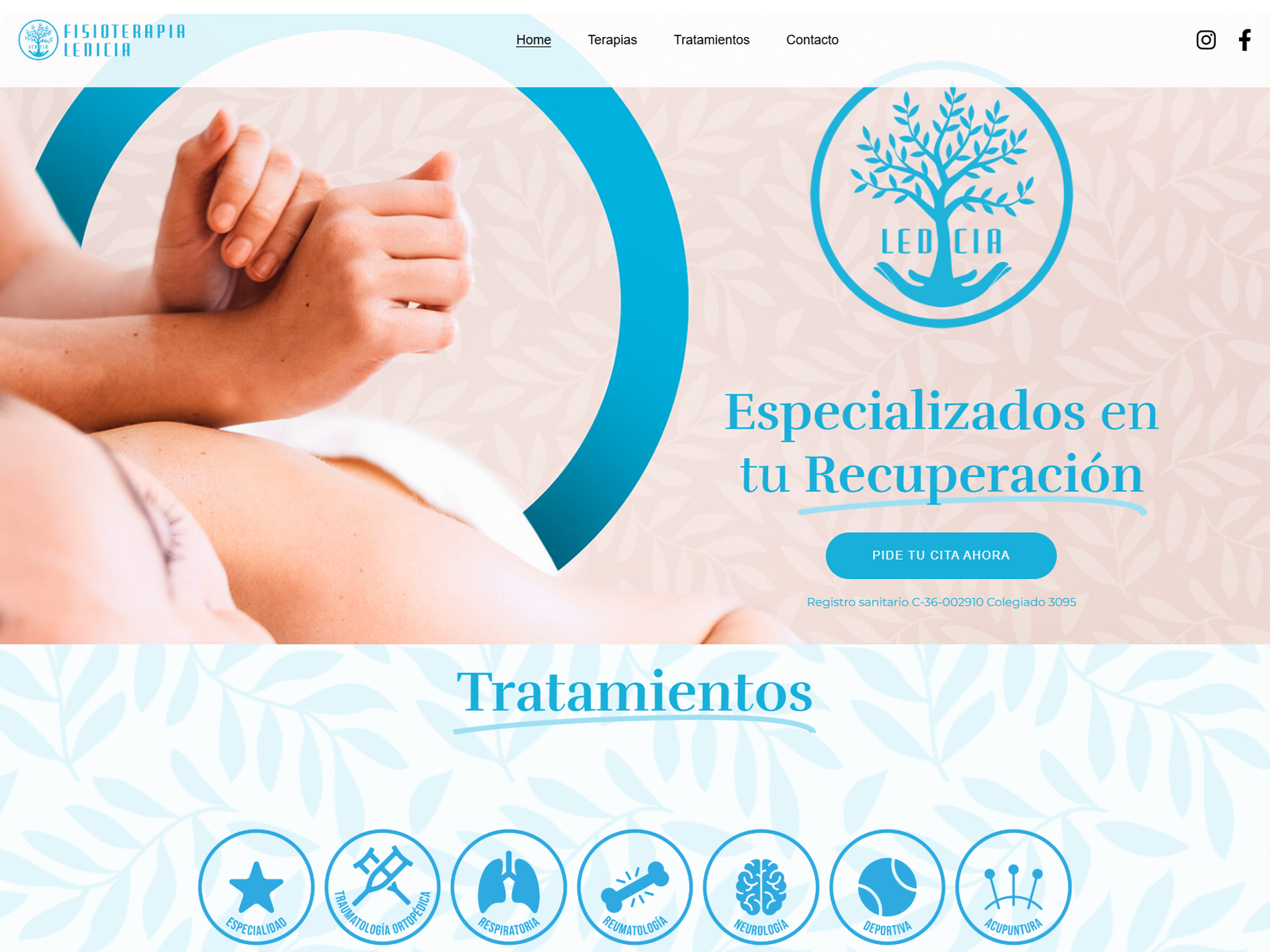 web fisoterapia ledicia 1