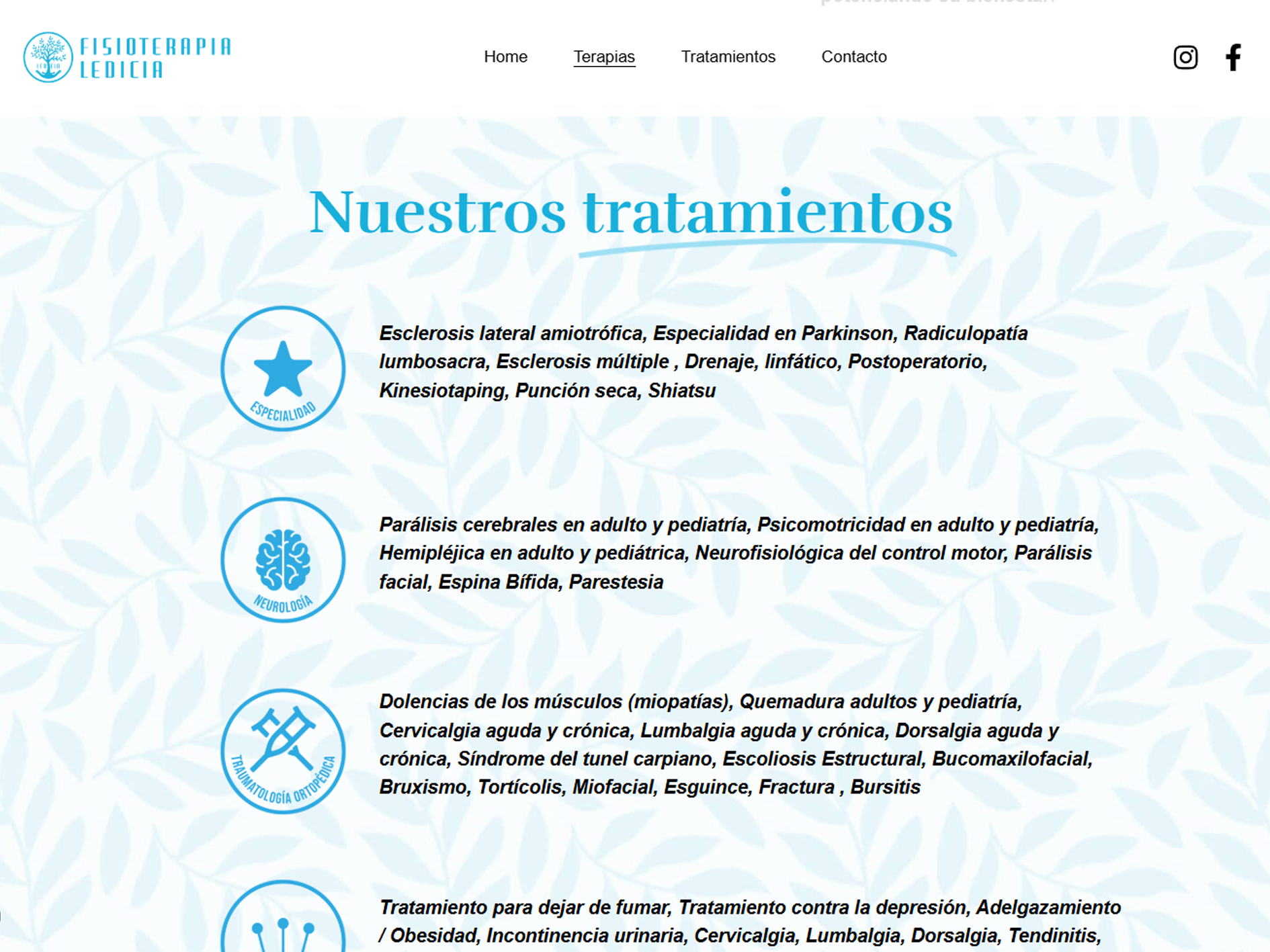 web fisoterapia ledicia 2